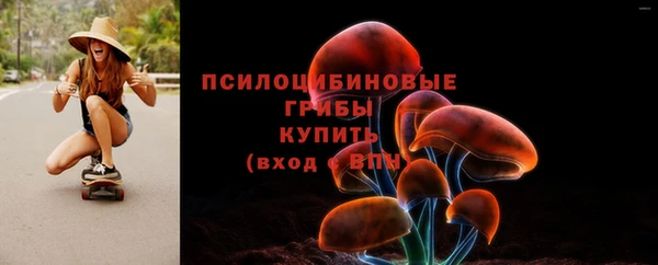 Альфа ПВП Горняк