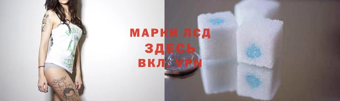 прущие крисы Горнозаводск