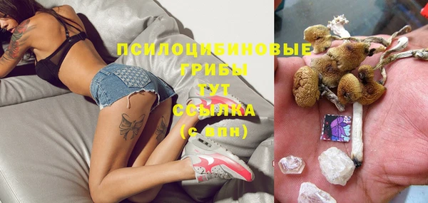 герыч Дмитров