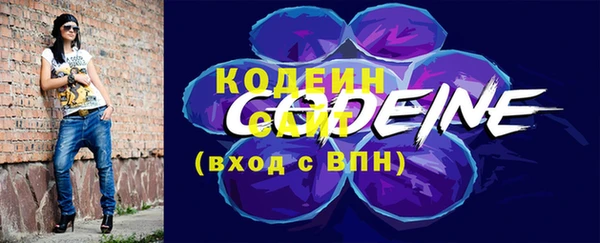Альфа ПВП Горняк