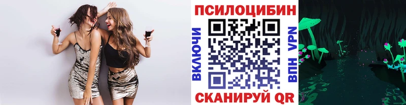 купить наркоту  Воркута  Галлюциногенные грибы Psilocybe 